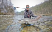Client catches in 2025 (catch and release)